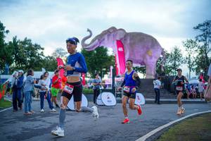 BIB: 
                            <button type="button" onclick="openModal(26551724)" class="btn btn-primary btn-sm float-right btn-popup" data-toggle="modal" data-target=".modal-high-quality">
                        <i class="fas fa-shopping-cart"></i> Add to Cart
                    </button>
                                            <button type="button" onclick="isThisMe(26551724, true)" class="btn btn-success btn-sm float-right btn-popup btn-isme hidden" data-toggle="tooltip" data-placement="bottom" title="นี่คือรูปของคุณใช่ไหม คลิกที่นี่เพื่อเอาเข้าอัลบั้ม">
                        <i class="fas fa-plus"></i> Add to album
                    </button>
                    <button type="button" onclick="isThisMe(26551724, false)" class="btn btn-warning btn-sm float-right btn-popup btn-isnotme hidden">
                        <i class="fas fa-ban"></i> Remove from album
                    </button>